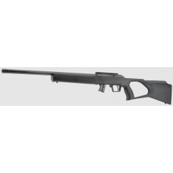 Carabine Regent RBA 1 .22 LR – Canon Lourd 20" Fileté – 2 Chargeurs 10 Coups