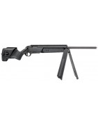 ARMES Catégorie C